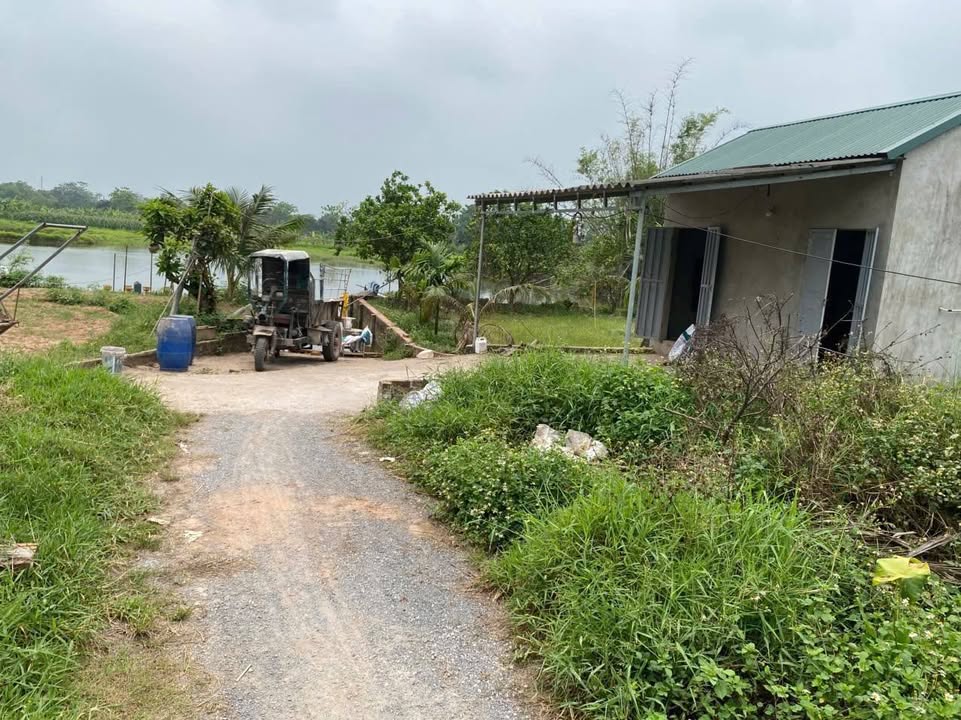 Đất Kim An Thanh Oai 60m² giá nhỉnh 2 tỷ - Đón sóng Vin3, sân golf!