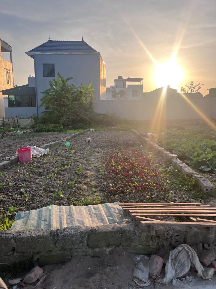 Đất nền Đỗ Động, Thanh Oai 68,4m² giá chỉ 5x triệu - Cơ hội đầu tư tiềm năng!