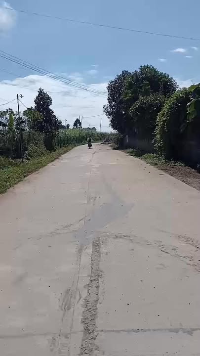 Đất nền Dũng Phong 1594m² - Gần khu công nghiệp, giá thỏa thuận!