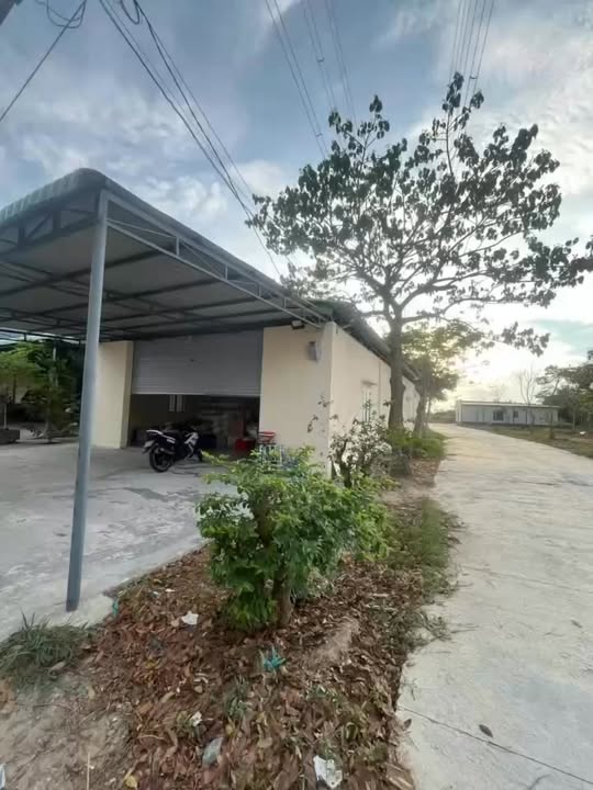 Cho thuê nhà kho 160m² tại xã Hàm Liêm, huyện Hàm Thuận Bắc - Giá chỉ 5 triệu/tháng!