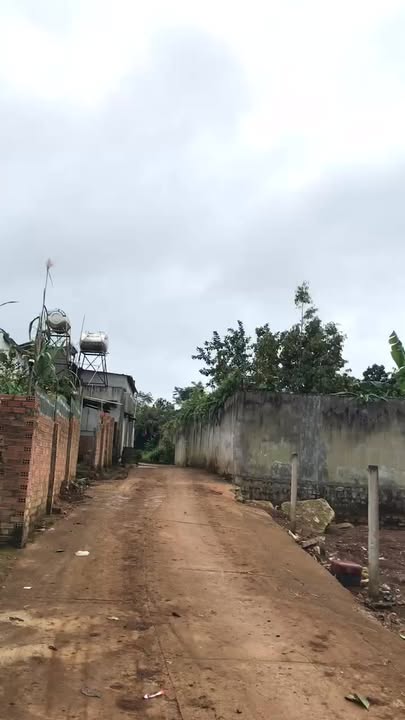 Đất phân lô đẹp Liên Đầm Di Linh 300m² giá 3.1 tỷ - Cơ hội đầu tư hấp dẫn!