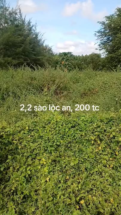 Đất nền 2.200m² tại xã Phước Hải, Long Đất - Nhà vườn nghỉ dưỡng lý tưởng giá 3,25 tỷ!