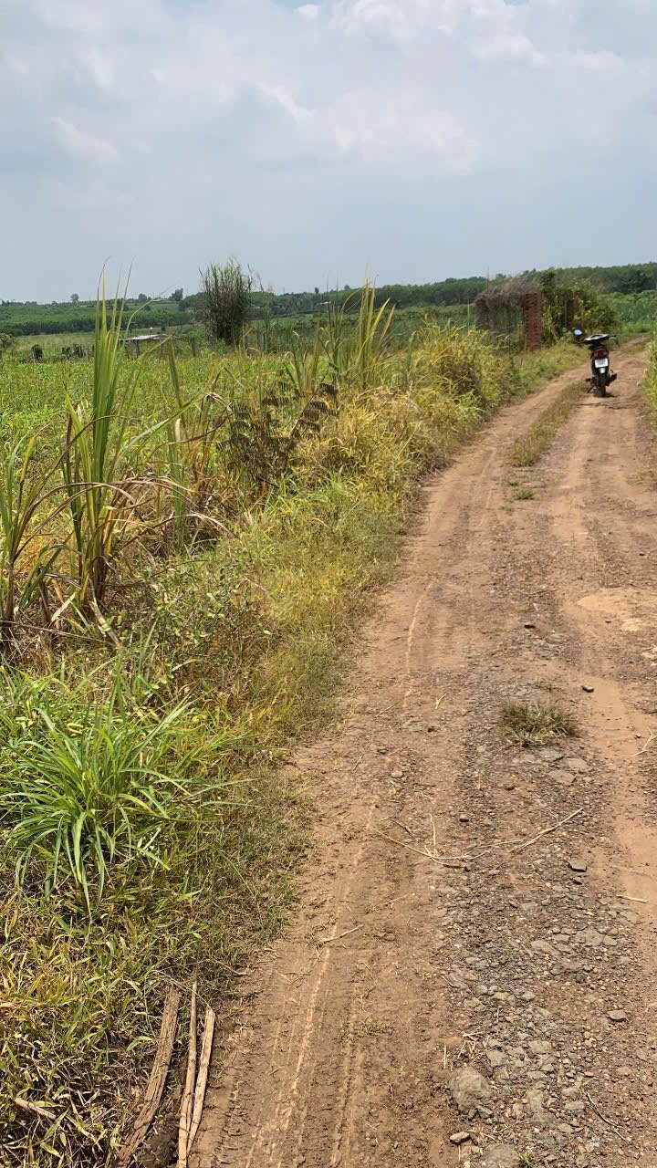 Đất nền Láng Dài 6630m² giá chỉ 499 triệu - Đầu tư sinh lời ngay!