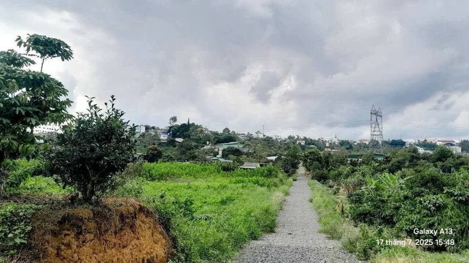 Đất thổ cư Hẻm 83 Lam Sơn, B'Lao 592m² giá 2.4 tỷ - View núi đẹp, ô tô vào tận nơi!