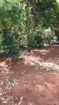 Đất nền thôn 2, xã Nghĩa Trung, huyện Bù Đăng 600m² giá 400 triệu - Sổ đỏ chính chủ!