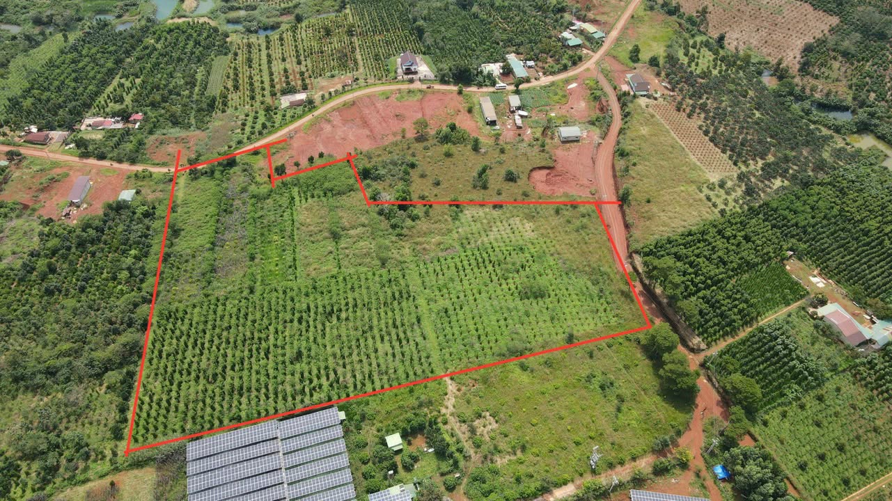 Farm Trường Xuân 2.5ha giá 4.8 tỷ - Đầu tư sinh lời ngay!