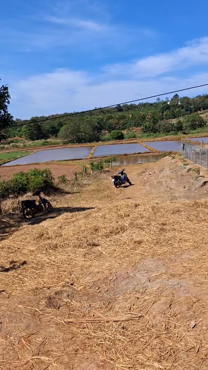 Đất vườn 1368m² tại xã Ia Dơk, Đức Cơ giá 800 triệu - Đầu tư tiềm năng!