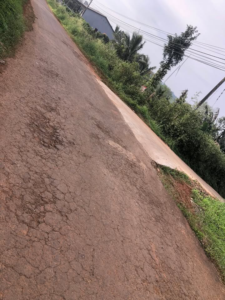 Lô đất 2 sào ở Thuận Hạnh, Đắk Song giá chỉ 1 tỷ - Đầu tư sinh lời ngay!