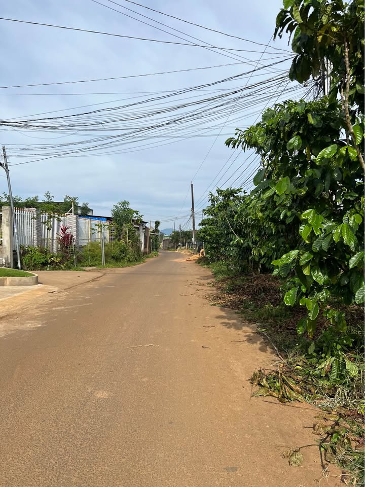 Đất nền chính chủ Lộc Phát Bảo Lộc 320m² giá 2 tỷ - Sẵn sàng xây dựng ngay!