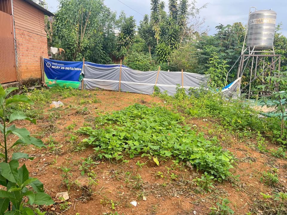 Đất nền Hẻm 345 Trần Phú Bảo Lộc 224m² giá 1.2 tỷ - Nở hậu đẹp, pháp lý rõ ràng!