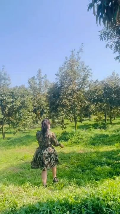 Đất thổ cư Tân Lạc Bảo Lâm 160m² - Cơ hội đầu tư sinh lời cao!