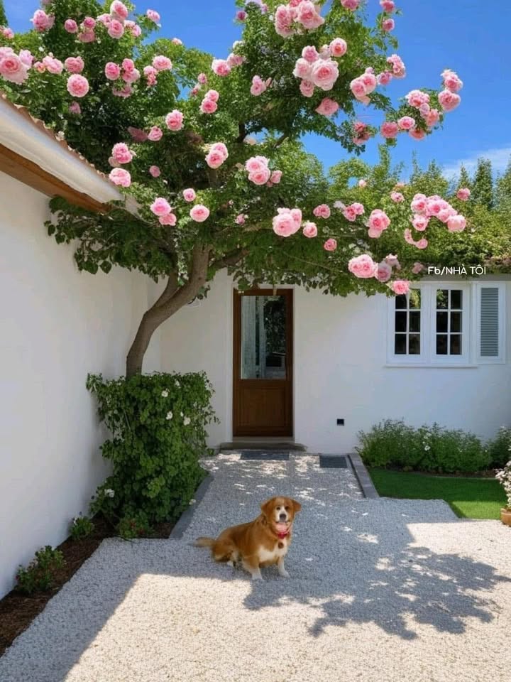 Đất nền Khu đô thị Ngọc Bảo Viên Quảng Ngãi 105m² giá 3 tỷ - Cơ hội vàng duy nhất!