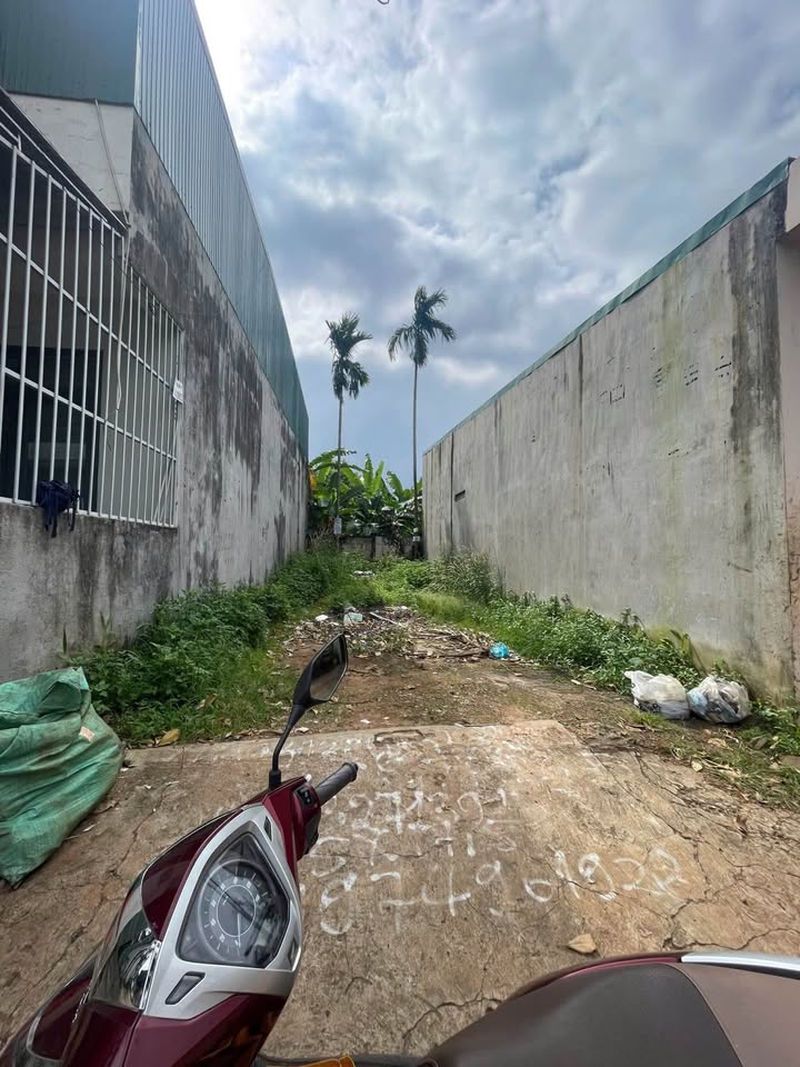 Đất thổ cư Hẻm 246 Y Moal, Tân Lợi 87m² giá 2.75 tỷ - Vị trí vàng sinh lời!