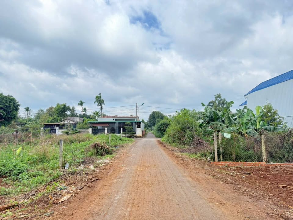 Đất nền liền kề Kô Tam, phường Tân An, 166.5m² giá 1.3 tỷ - Gần QL26 thuận tiện!