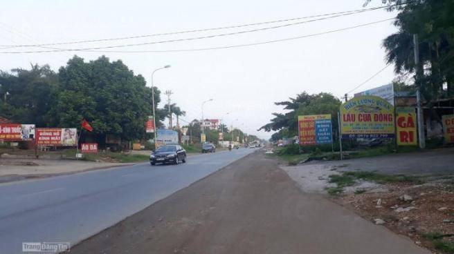 Đất nền Phú Cát Quốc Oai 100m² giá chỉ 5 tỷ - Gần khu công nghệ cao!