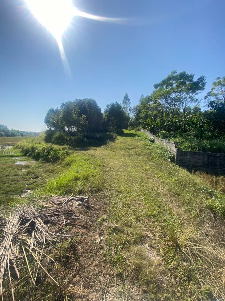 Đất trang trại Tân Quang 4.000m² giá 600 triệu - Đầu tư nghỉ dưỡng lý tưởng!