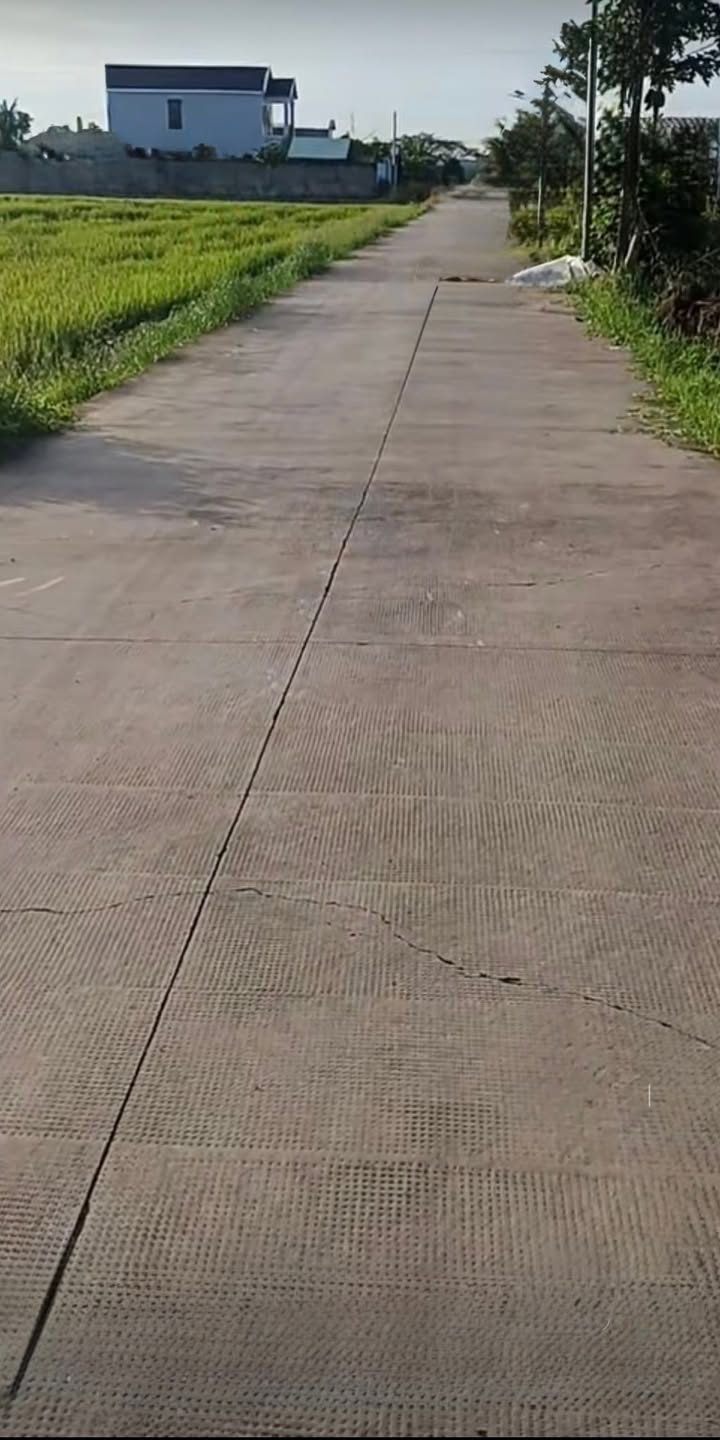 Đất nền 547m² tại Ấp Giồng Lớn, Mỹ Hạnh, Đức Hòa - Giá 6.3 tỷ, cơ hội đầu tư sinh lời!