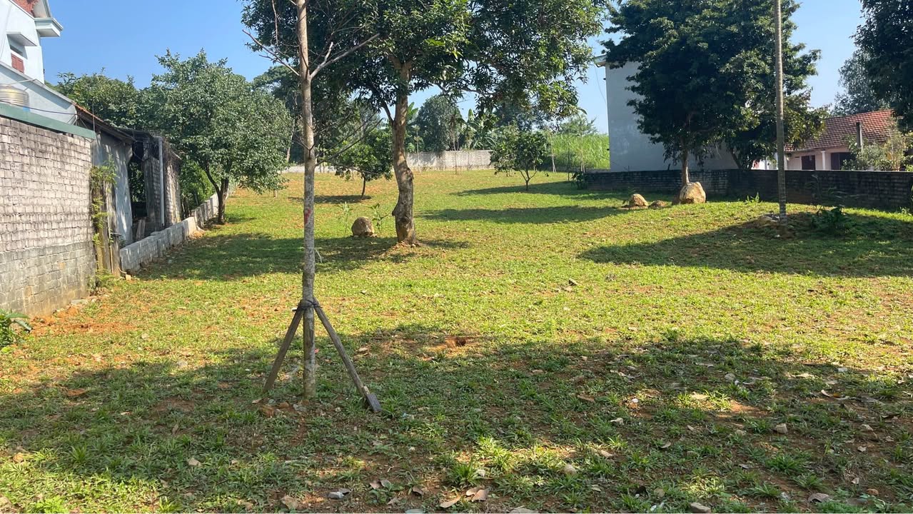 Đất nghỉ dưỡng Yên Bài, Ba Vì 1700m² - Cơ hội đầu tư lý tưởng!