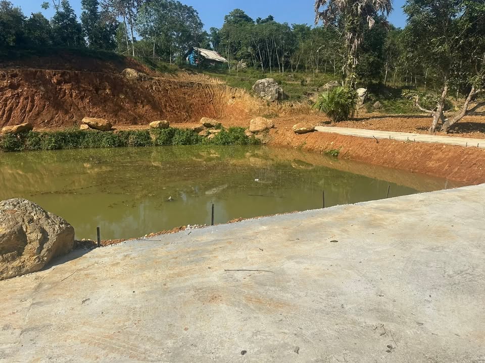 Đất Farm Tân Minh Thanh Sơn 12000m² giá 1.1 tỷ - Lý tưởng cho nghỉ dưỡng