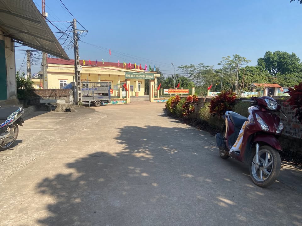 Đất nền Tiên Phong, Ba Vì 200m² giá 2 tỷ - Cơ hội đầu tư vàng!