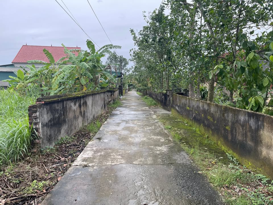 Đất nền Xuân Hưng, Thọ Xuân 264m² - Giá chỉ 600 triệu, thương lượng tốt!