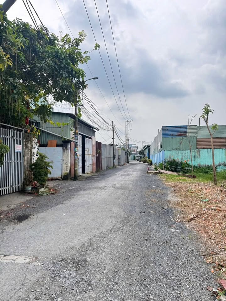 Đất nền 115m² đường Xuân Thới Sơn, Hóc Môn - Sổ hồng riêng, giá 3.65 tỷ!