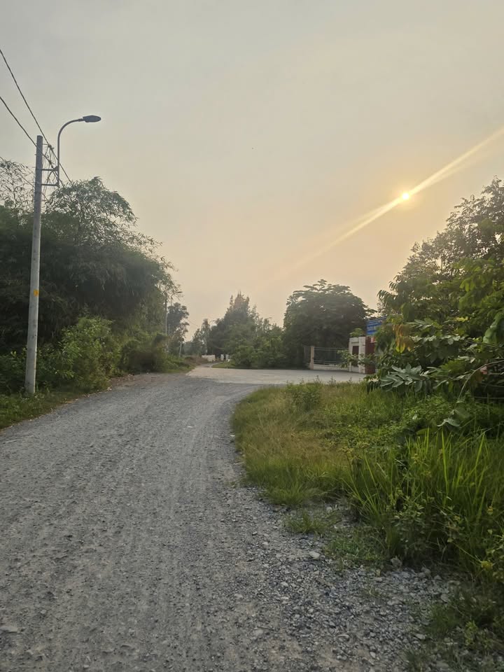 Đất vườn mặt tiền kênh Bà Đội, Củ Chi 3599m² - Đầu tư sinh lời lý tưởng!