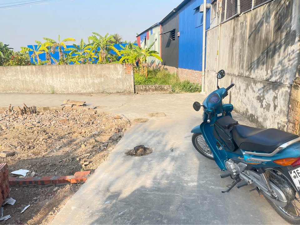 Đất nền Đặng Cương, An Dương 60m² giá 1.2 tỷ - Đầu tư sinh lời ngay!