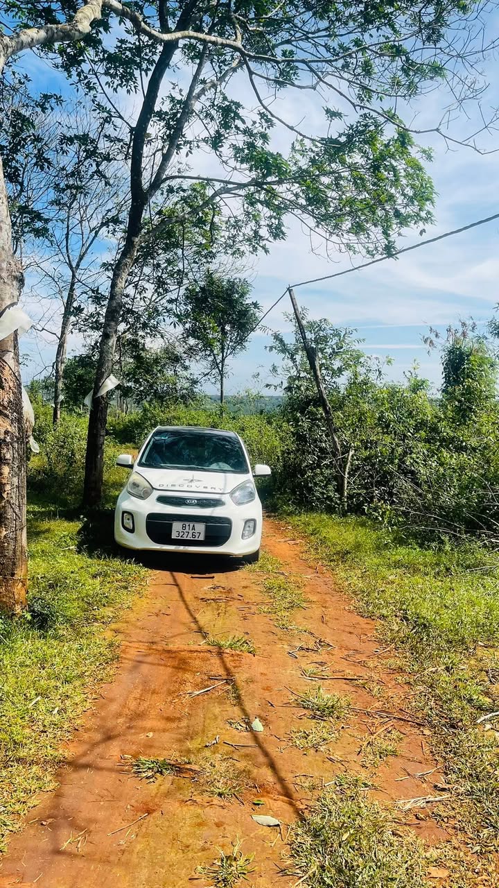 Farm 1.0376ha Làng Anh, Ia Tôr, Chư Prông - Giá 1.3 tỷ, Cơ hội đầu tư sinh lời!