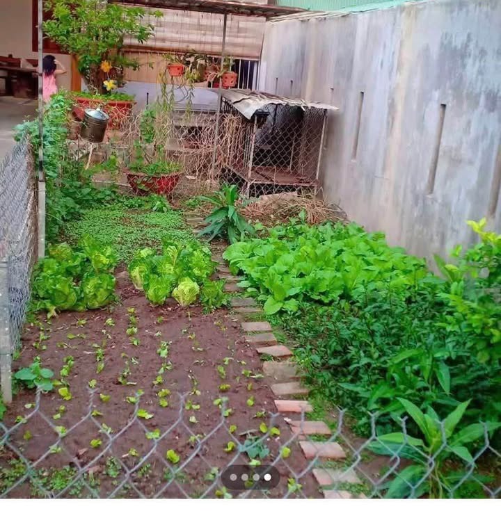 Nhà riêng Lương Thế Vinh, Pleiku 220m² giá 1 tỷ - Đầu tư sinh lời lý tưởng!