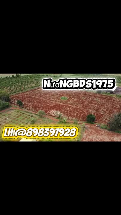 Lô đất đỏ Bazan 9 sào tại xã Ia Lai, Chư Sê - Giá mềm chỉ 1.5 tỷ!