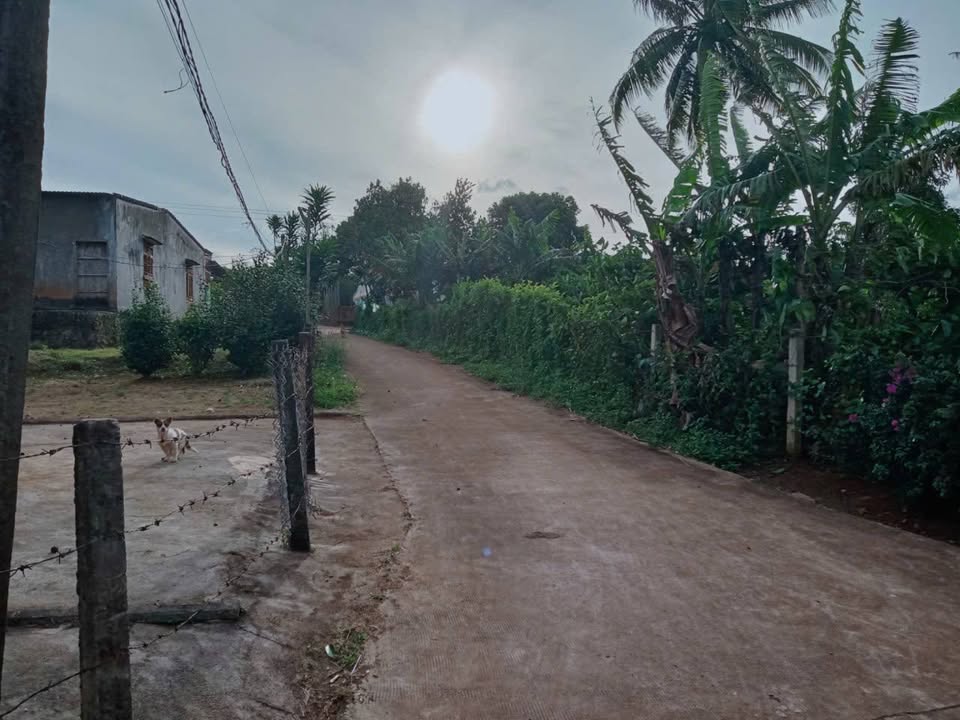 Đất nền 250m² Thôn 3, Hòa Phú, Chư Păh, Gia Lai - Giá tốt, thổ cư 100%!