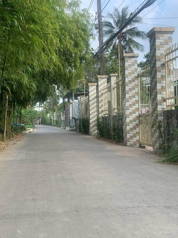 Đất nền thổ cư 100% Đinh Công Chánh - 100m² giá 1.69 tỷ - Mặt tiền đường thuận lợi kinh doanh!