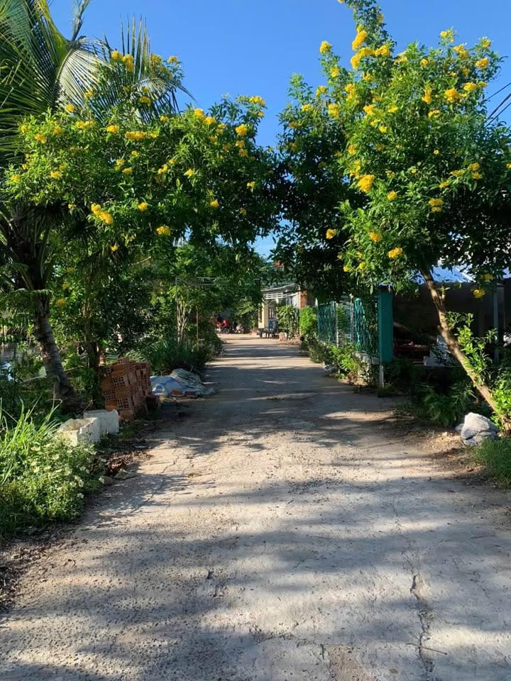 Nhà mới bán gấp tại Rạch Đường Cúi, 136m² chỉ 1.8 tỷ - Sân rộng, thoáng mát!