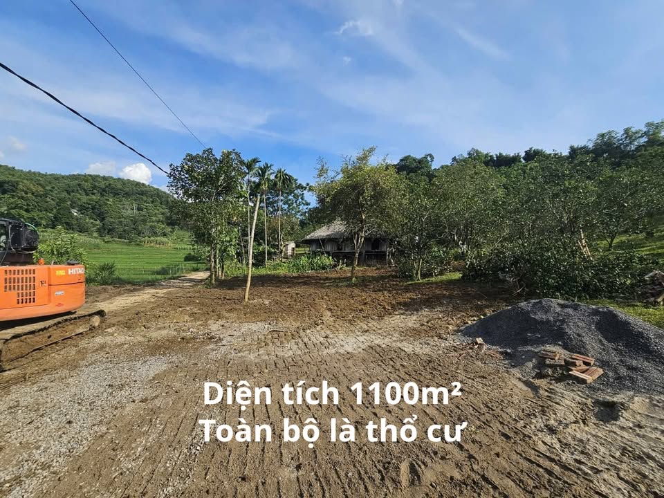 Đất thổ cư 1100m² xã Hợp Phong, giá chỉ 1.1 tỷ - Cơ hội đầu tư tuyệt vời!