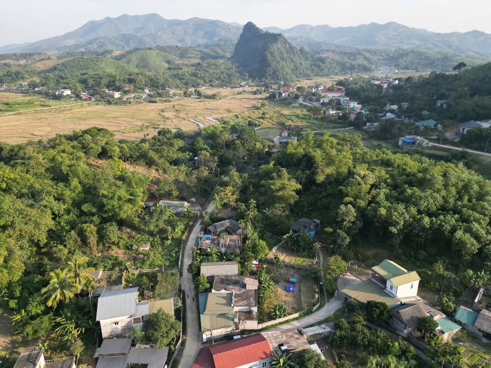 Đất nền Lương Sơn - Phú Thọ 364m² giá 1 tỷ - Lô góc đẹp, cơ hội đầu tư!