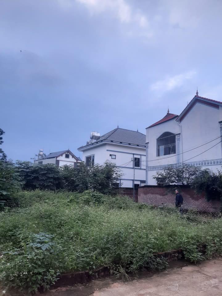 Đất nền Hạ Bằng, Thạch Thất 1326m² - Đường thông xe tải 5 tấn