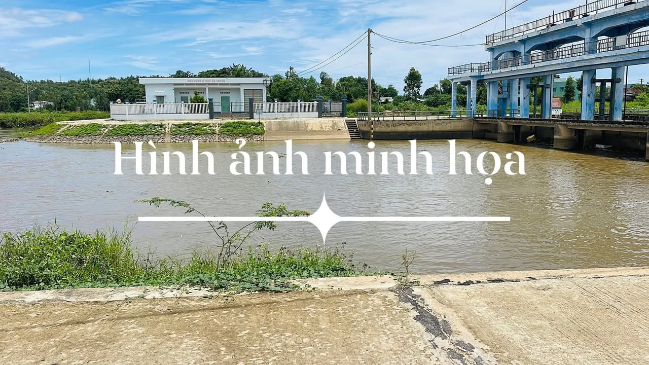 Đất nền mặt tiền đường Dầu Wive, Tuy Phước 65m² giá chỉ 400 triệu - Cơ hội đầu tư tuyệt vời!
