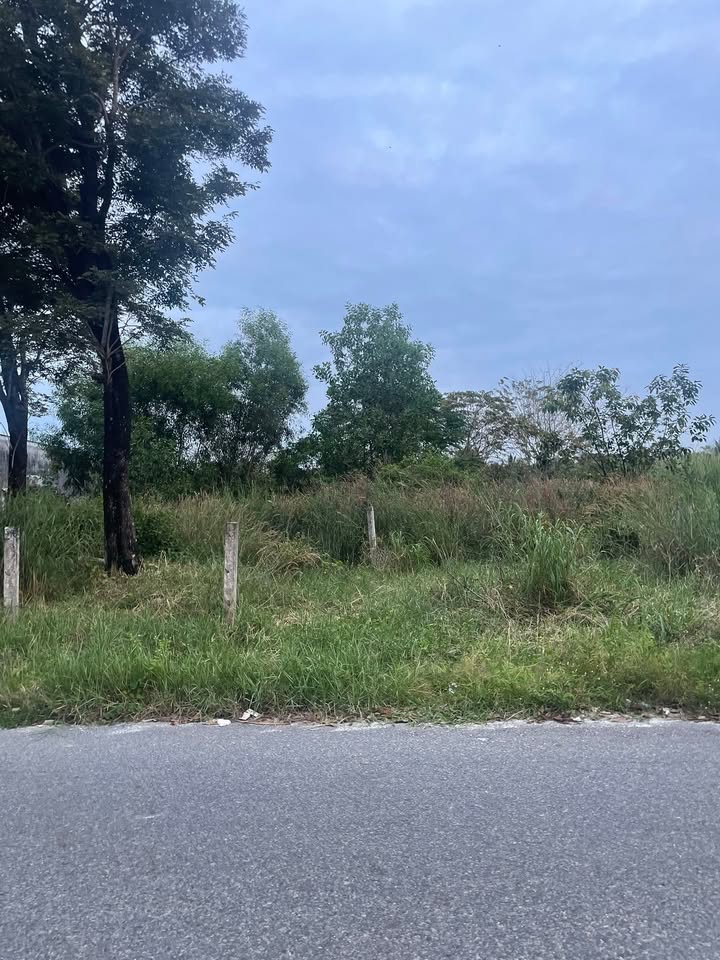 Đất thổ cư mặt tiền Lê Văn Tám, Tân An, La Gi - Diện tích 115m² giá chỉ 1 tỷ!