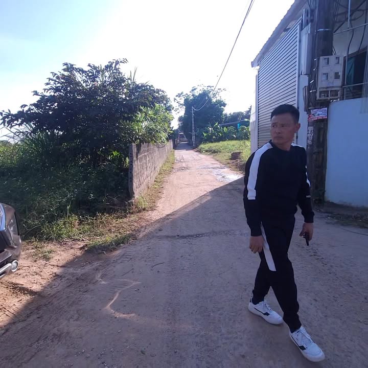 Đất nền Hướng Đạo, Tam Dương 113m² giá 1.3 tỷ - Tiềm năng sinh lời cao!