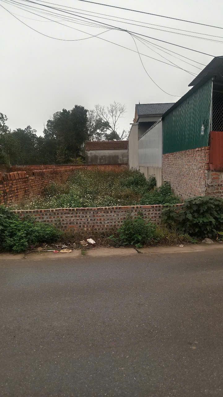 Đất nền 115m² đường Tô Hiến Thành, Xuân Hòa - Giá chỉ 2.3 tỷ!