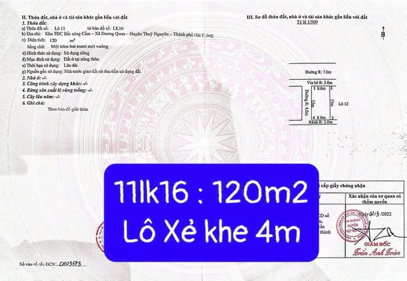 Đất nền tái định cư Áp Tràn, Dương Quan, Hải Phòng 120m² giá 6 tỷ - Sổ đỏ chính chủ!