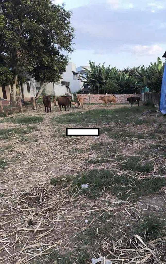 Đất Bà Nà, Hòa Vang 149.6m² giá 1.3 tỷ - Phù hợp xây nhà vườn!