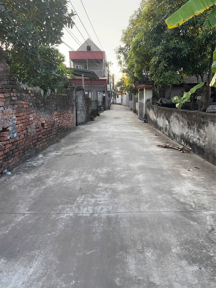 Đất thổ cư 100m² tại thôn Phúc Miếu, Mỹ Hào - Tiềm năng sinh lời cao!