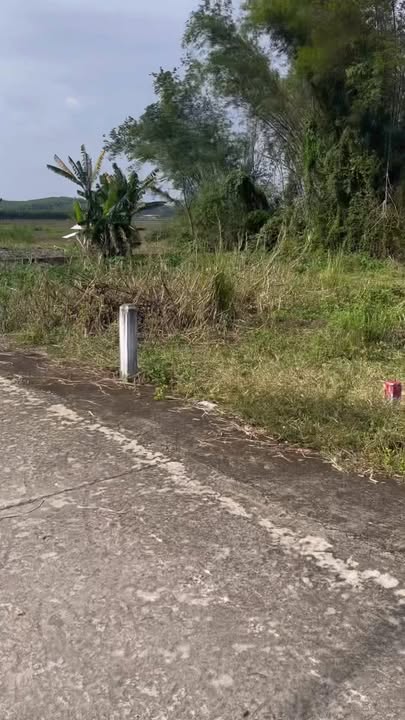 Đất nền Quế Xuân 1 120m² giá 4xx triệu - Vị trí thuận lợi gần chợ và trường học!