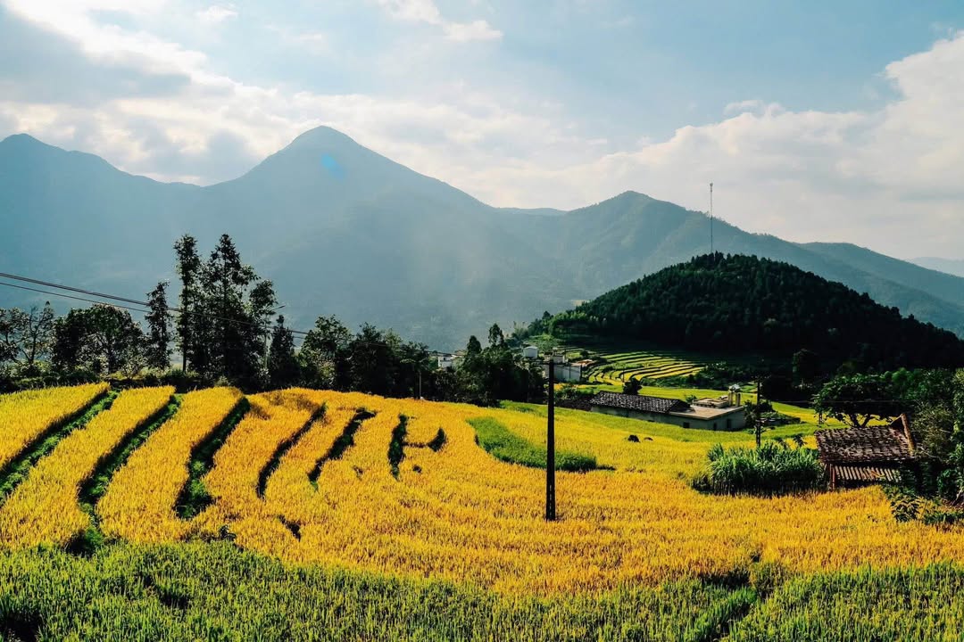 Căn hộ chung cư Lideco Hạ Long 2 phòng ngủ - Full nội thất, giá thỏa thuận!