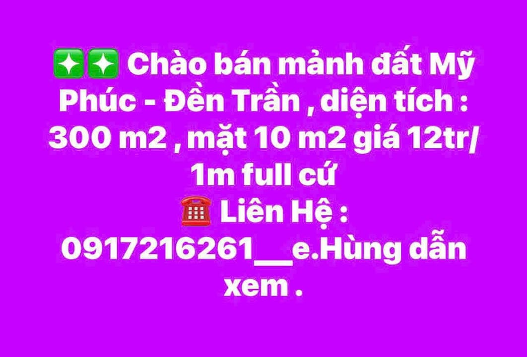 Đất nền Mỹ Phúc, 300m² giá 3.6 tỷ - Cơ hội đầu tư tuyệt vời!