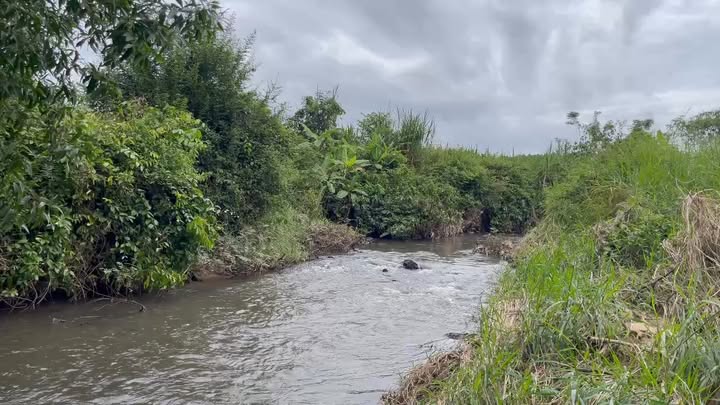 Đất nông nghiệp 6.1 sào tại Thọ Hòa, Xuân Lộc - Giá chỉ 2 tỷ VND - Phù hợp lập vườn!