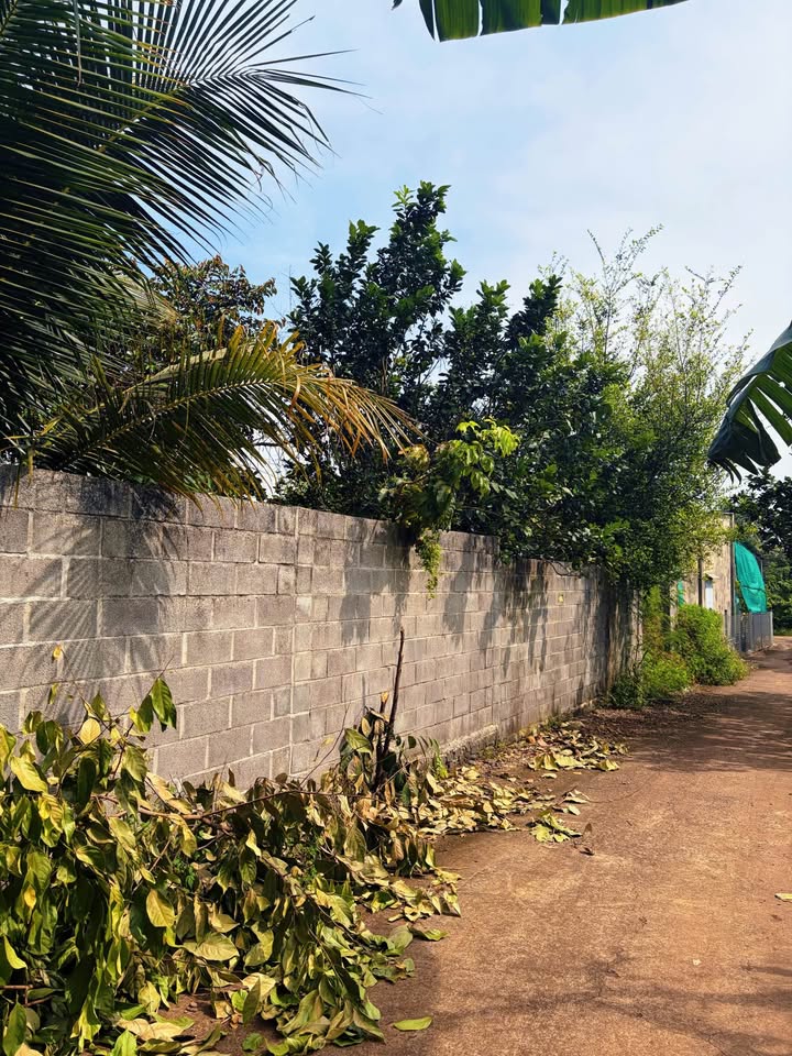 Đất nền Bảo Vinh Long Khánh 600m² giá 2.3 tỷ - Cơ hội đầu tư hấp dẫn!