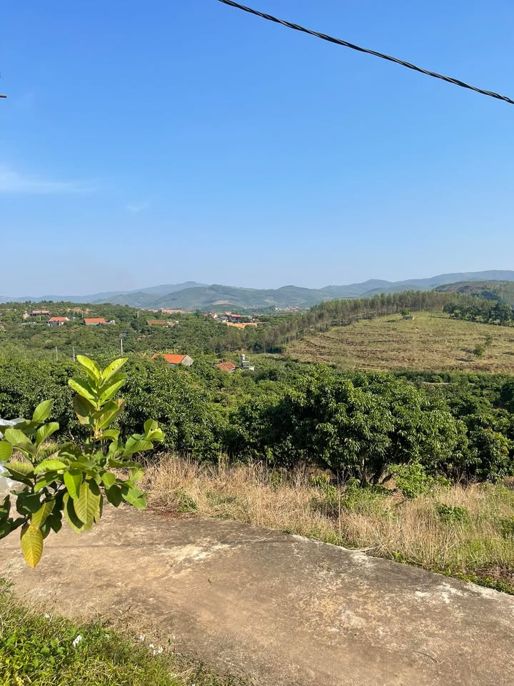 Bán lô vườn 5400m² tại Lục Sơn, Lục Nam, Bắc Giang - Giá chỉ 1.6 tỷ